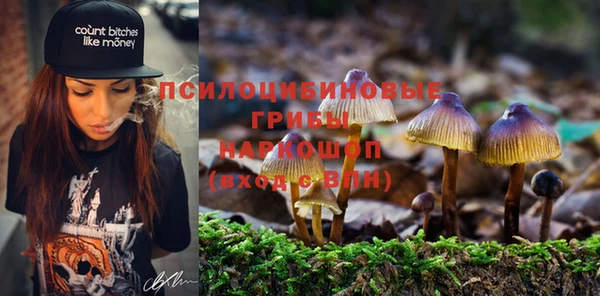 герыч Гусь-Хрустальный